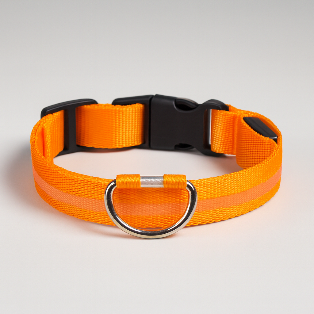 SoftTass LED-halsband – Säkerhet i mörkret