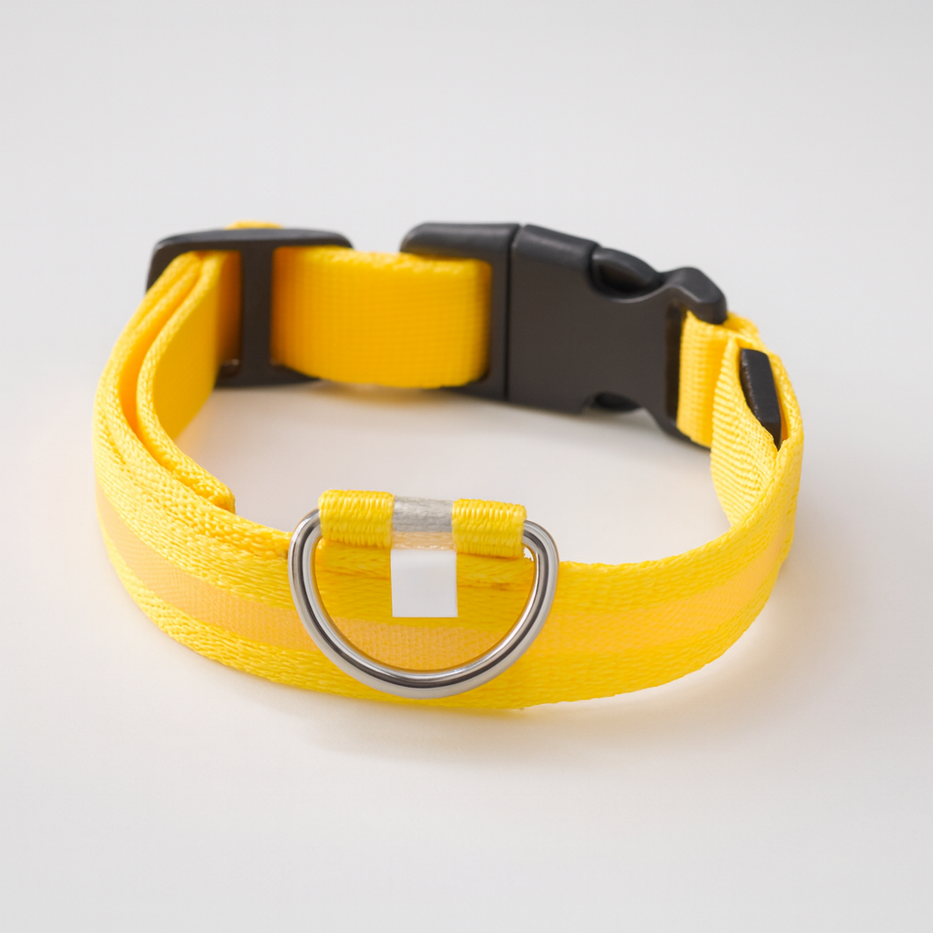 SoftTass LED-halsband – Säkerhet i mörkret