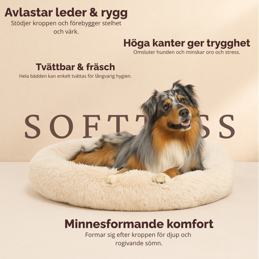 Drömkorgen – ortopedisk hundbädd med stöd