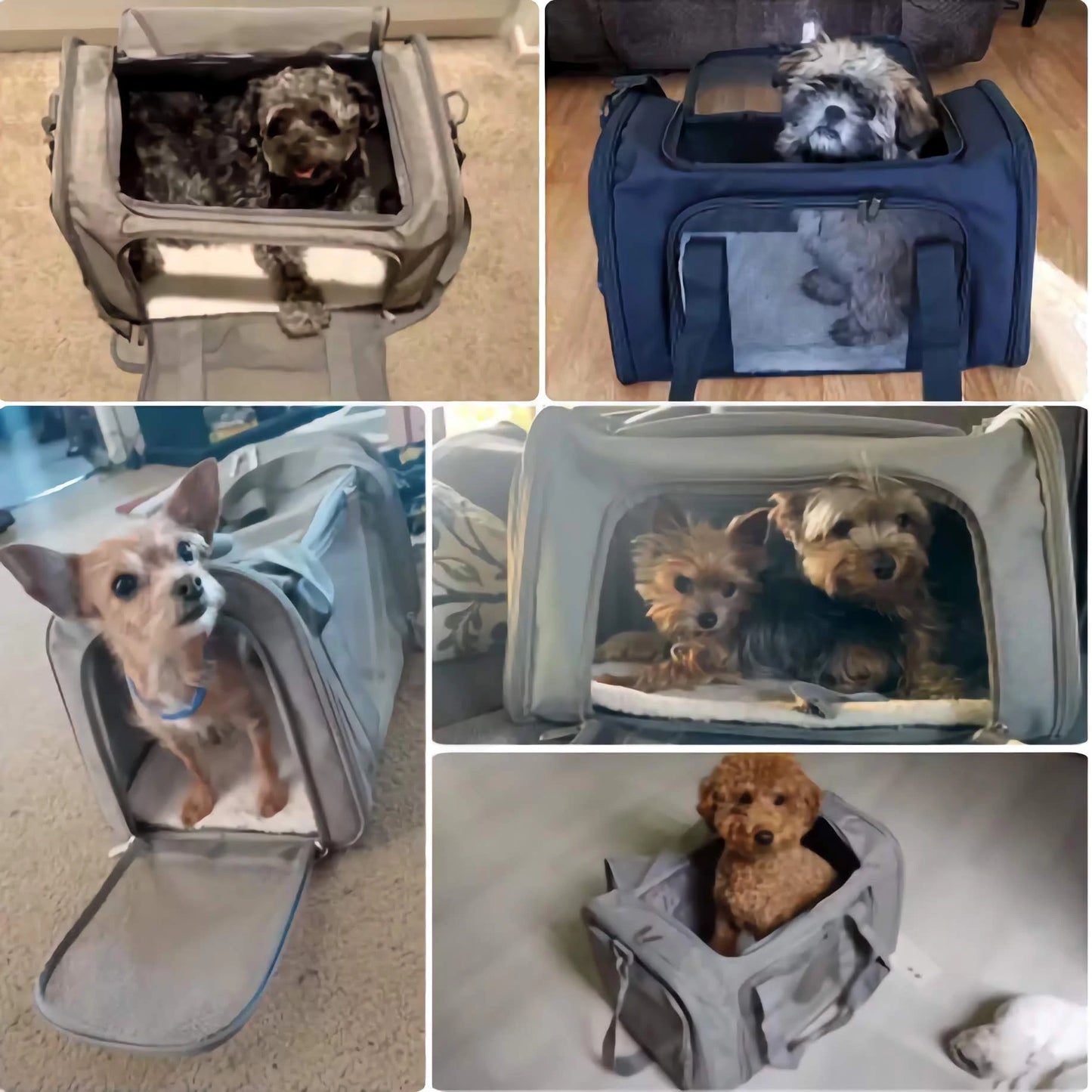 Bärväska till smådjur – bekväm & säker transport