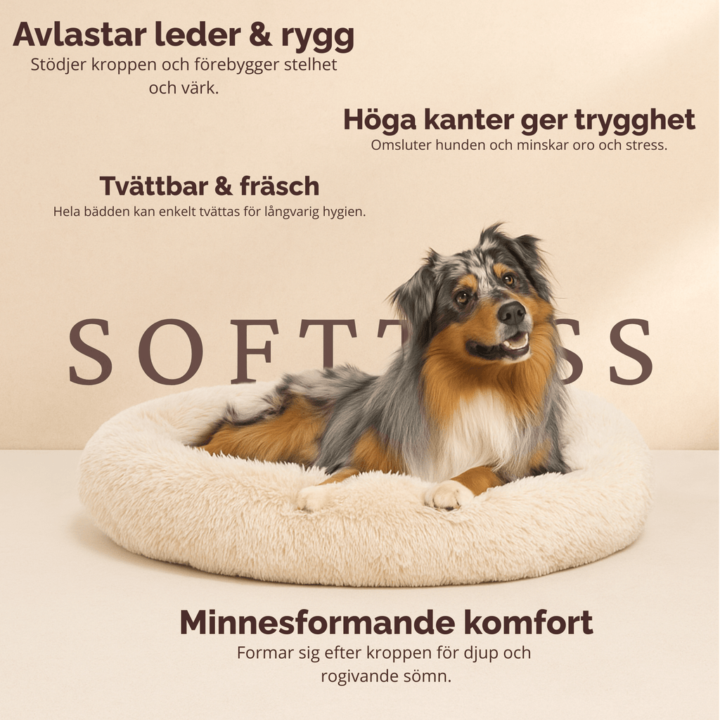 Drömkorgen – ortopedisk djurbädd med stöd