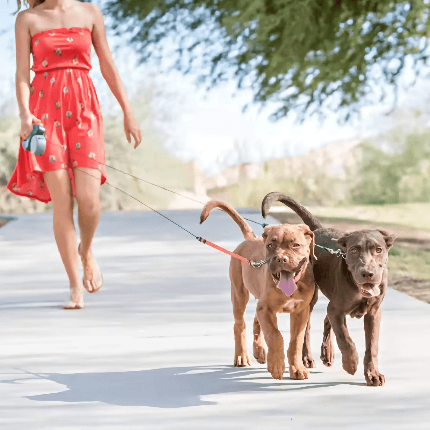 Dubbelkoppel – trasselfritt promenera två hundar | Köp hos SoftTass
