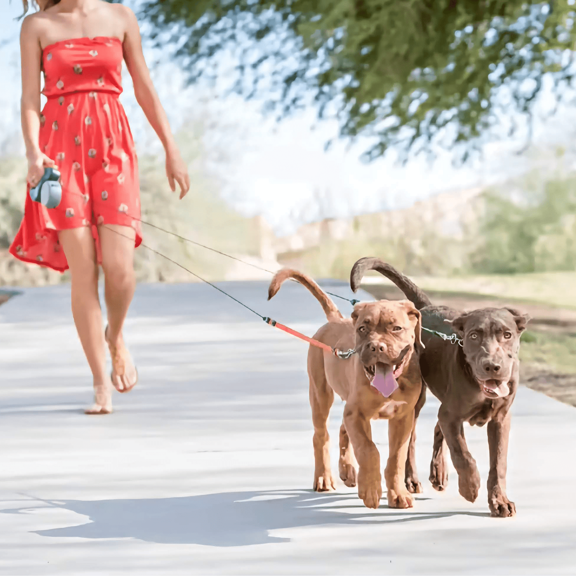 Dubbelkoppel – trasselfritt promenera två hundar | Köp hos SoftTass