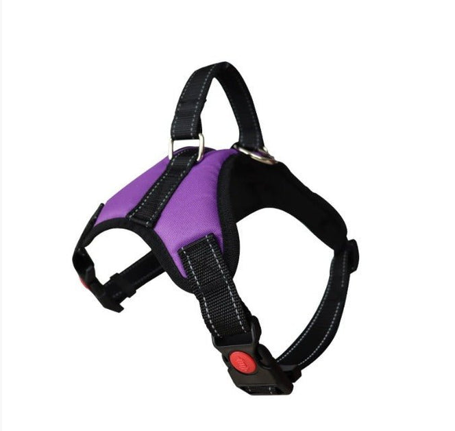 Justerbar hundsele – bekväm passform