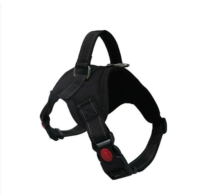 Justerbar hundsele – bekväm passform | Köp hos SoftTass