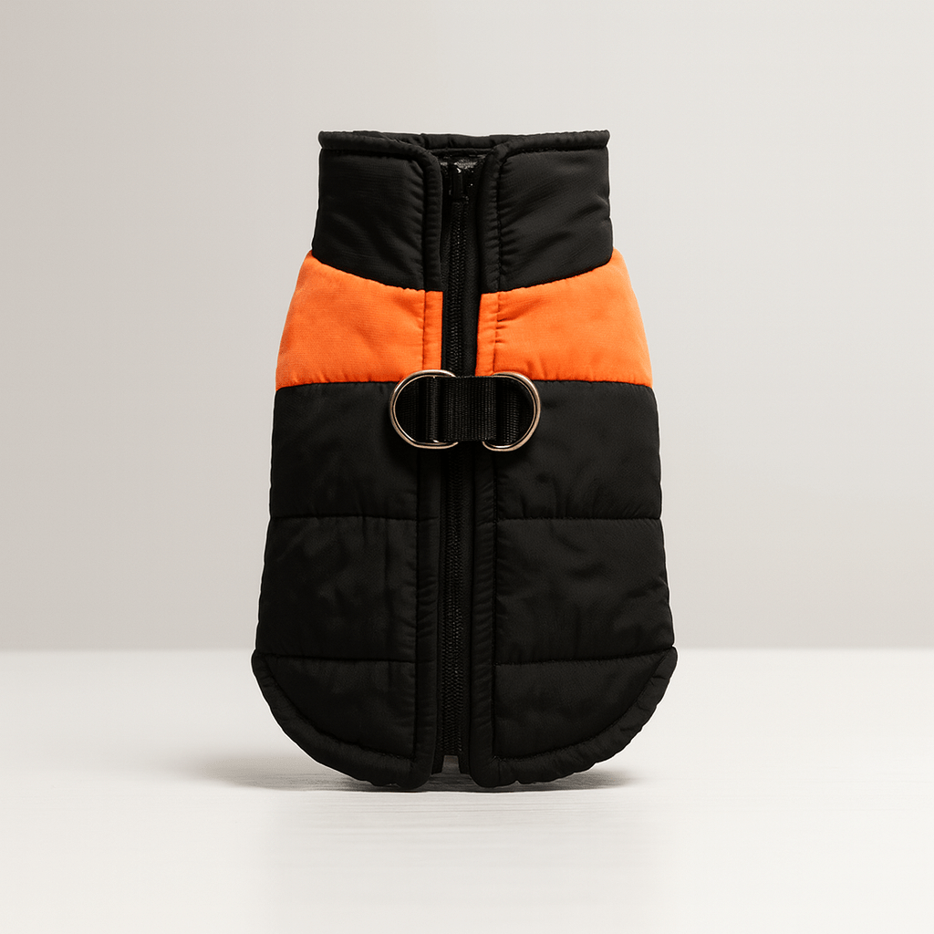 Vinterjacka för hund – varm, tålig & vattentät | Köp hos SoftTass